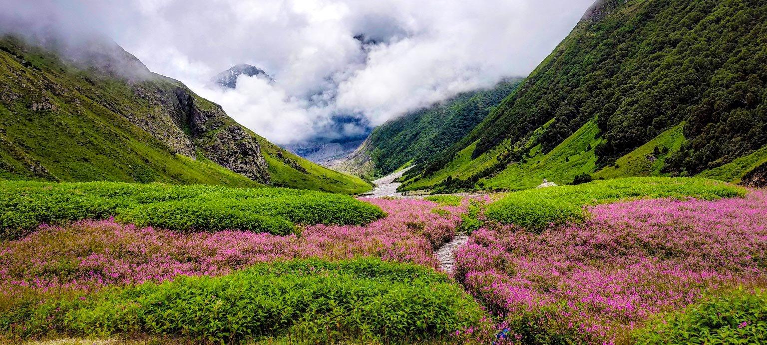 Auli – Valley of Flowers – Badrinath