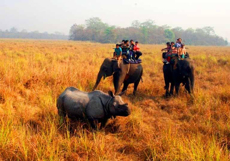 Dooars Wildlife & Tea Garden Tour – Lataguri – Jaldapara – Buxa