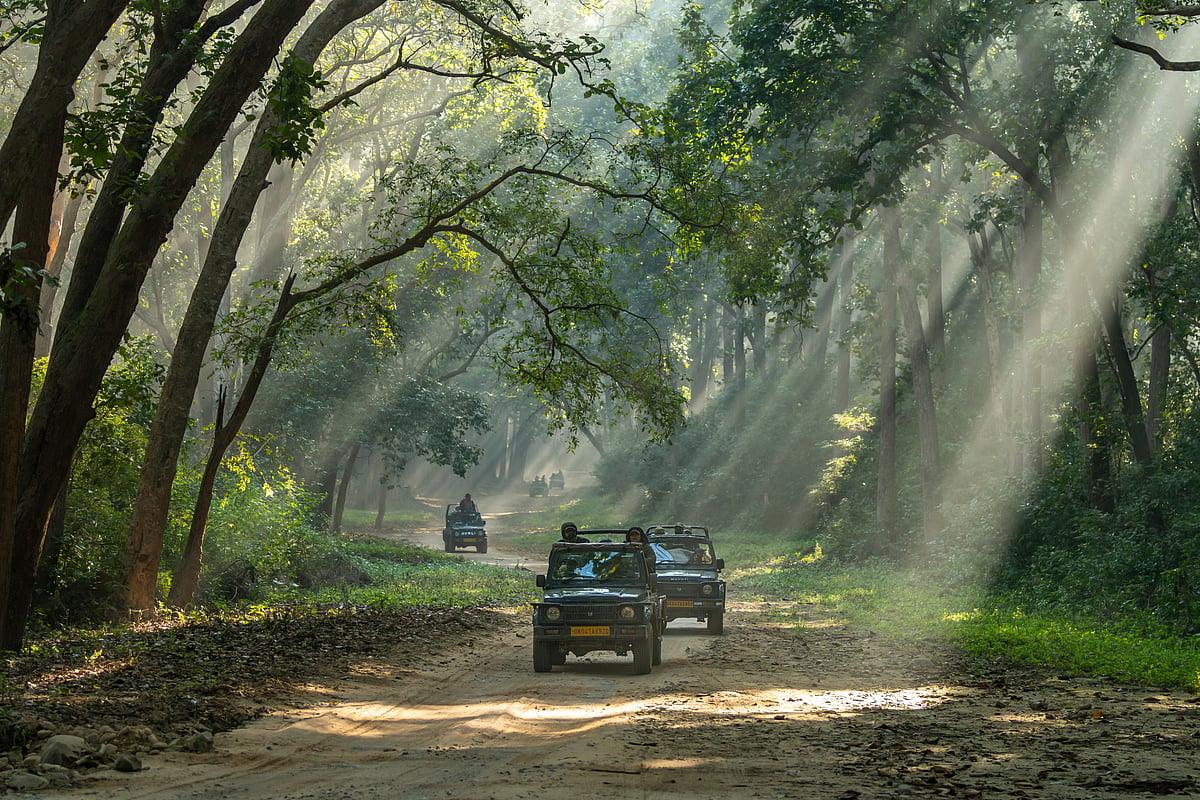 Kanha – Bandhavgarh