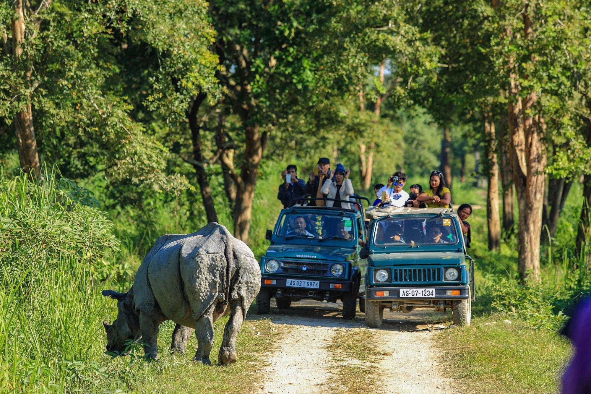 Kaziranga Wildlife Escape – Guwahati – Kaziranga
