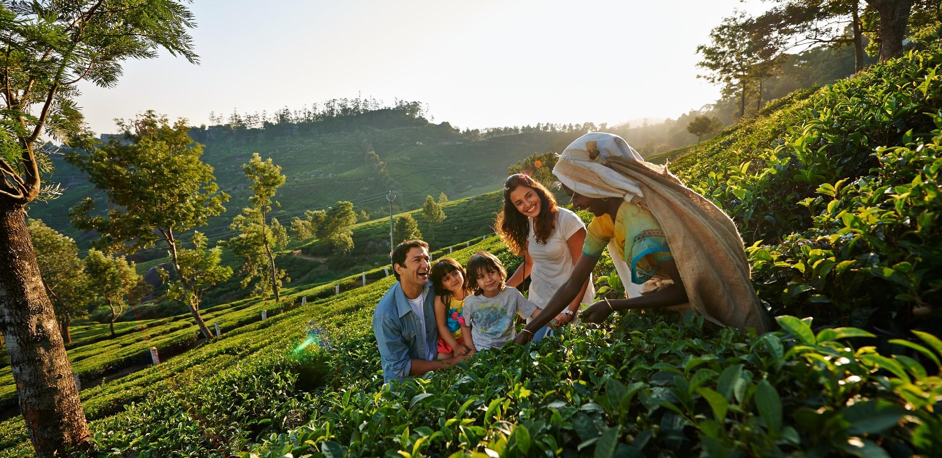 Kerala Family Holiday – Munnar – Thekkady – Alleppey – Kovalam