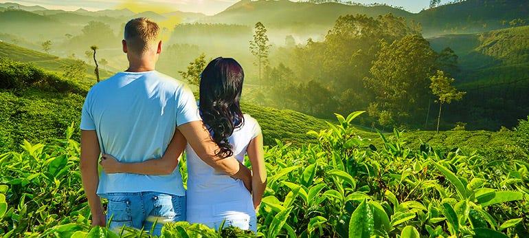 Kerala Honeymoon Special – Munnar – Thekkady – Alleppey