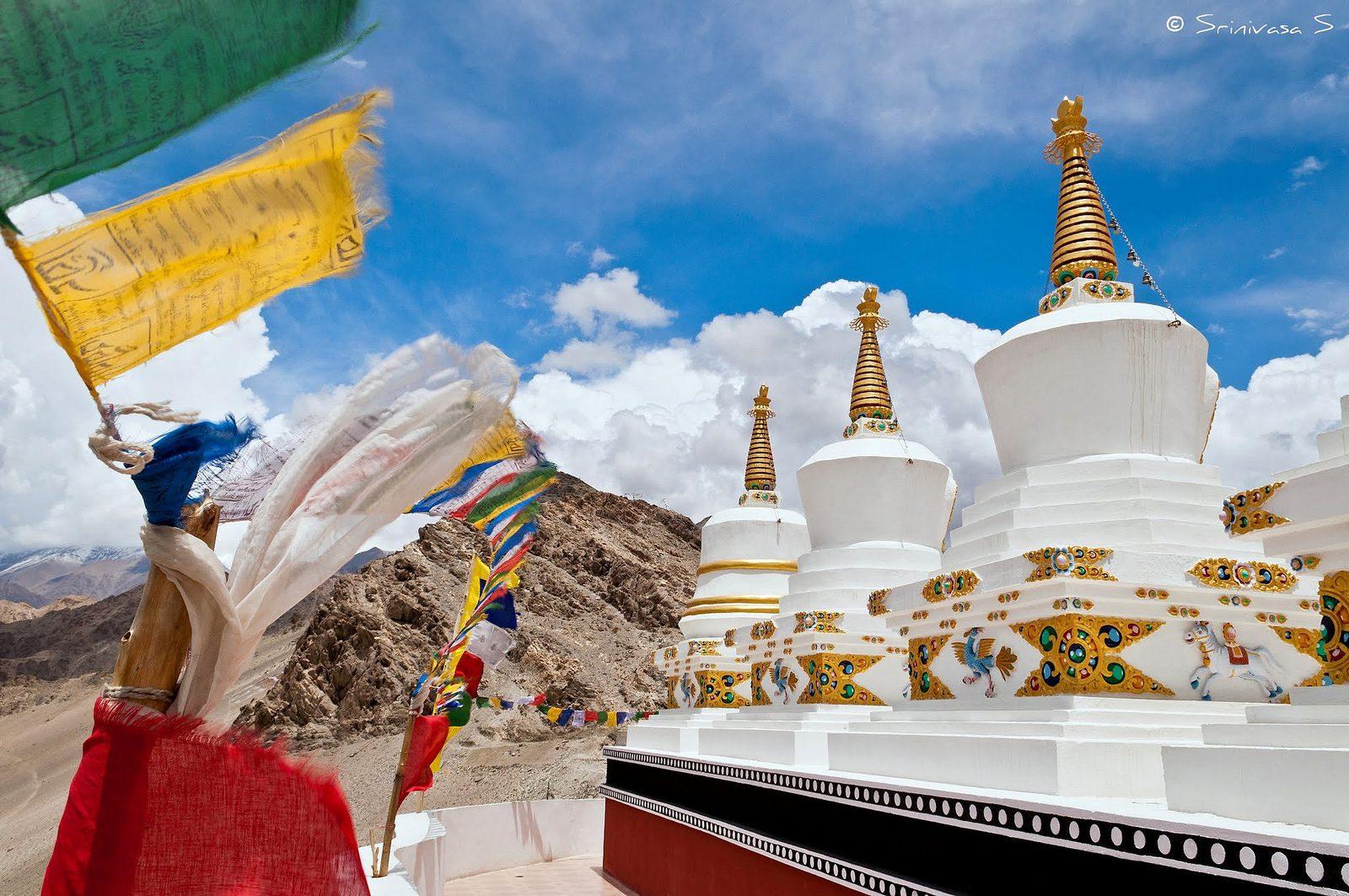 Ladakh Monastery & Culture Trail