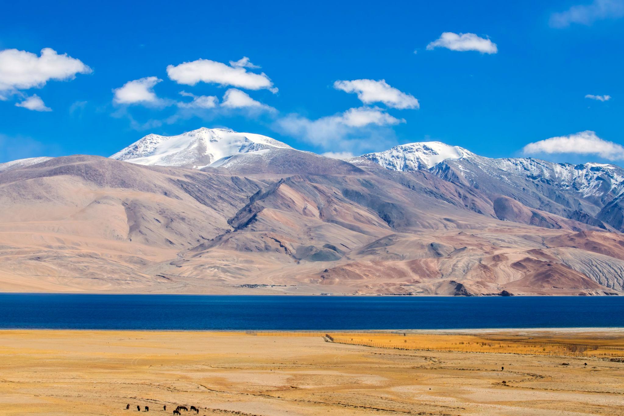 Leh – Nubra – Pangong – Tso Moriri