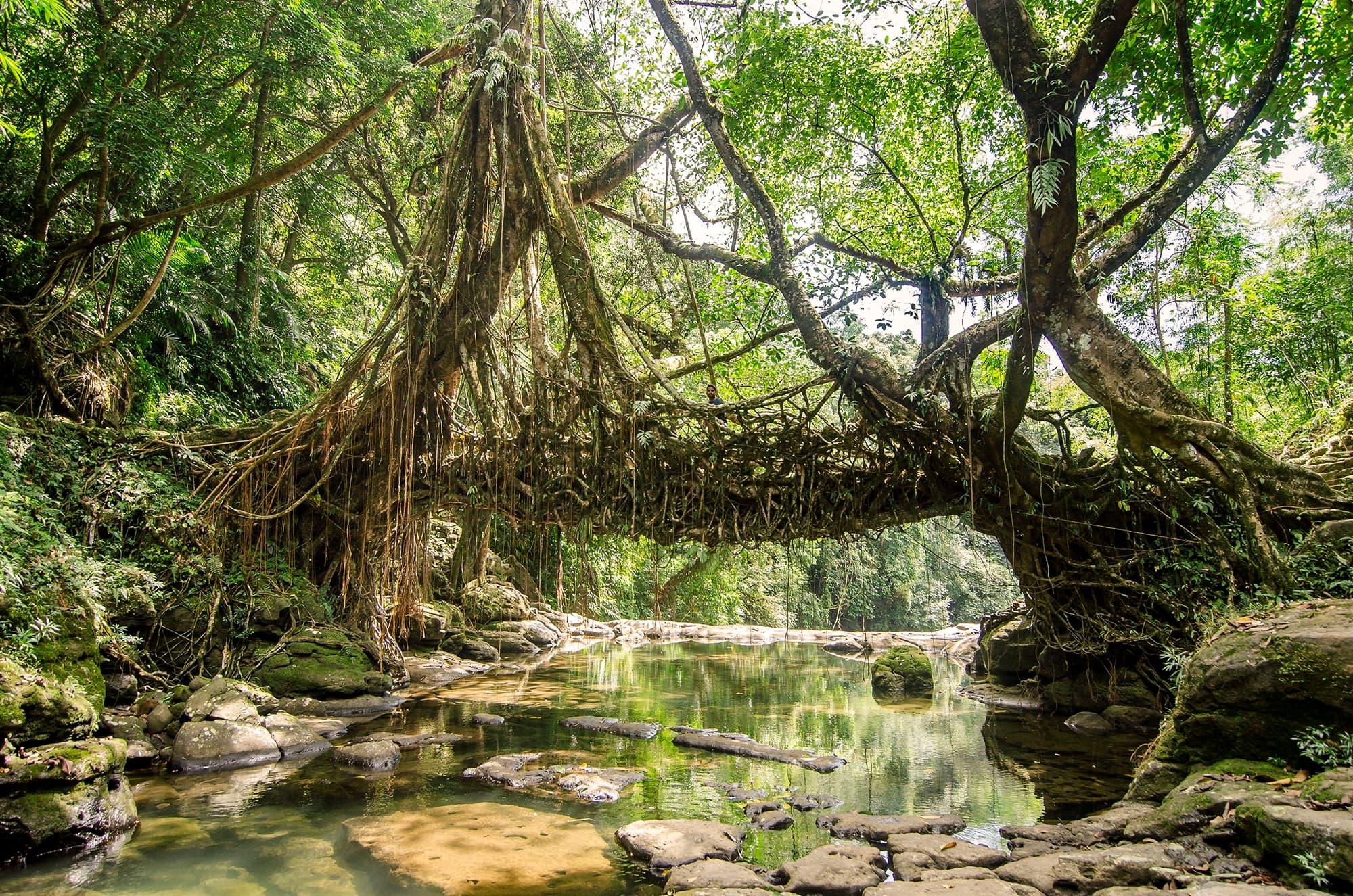 Meghalaya Nature Escape – Shillong – Cherrapunji – Mawlynnong