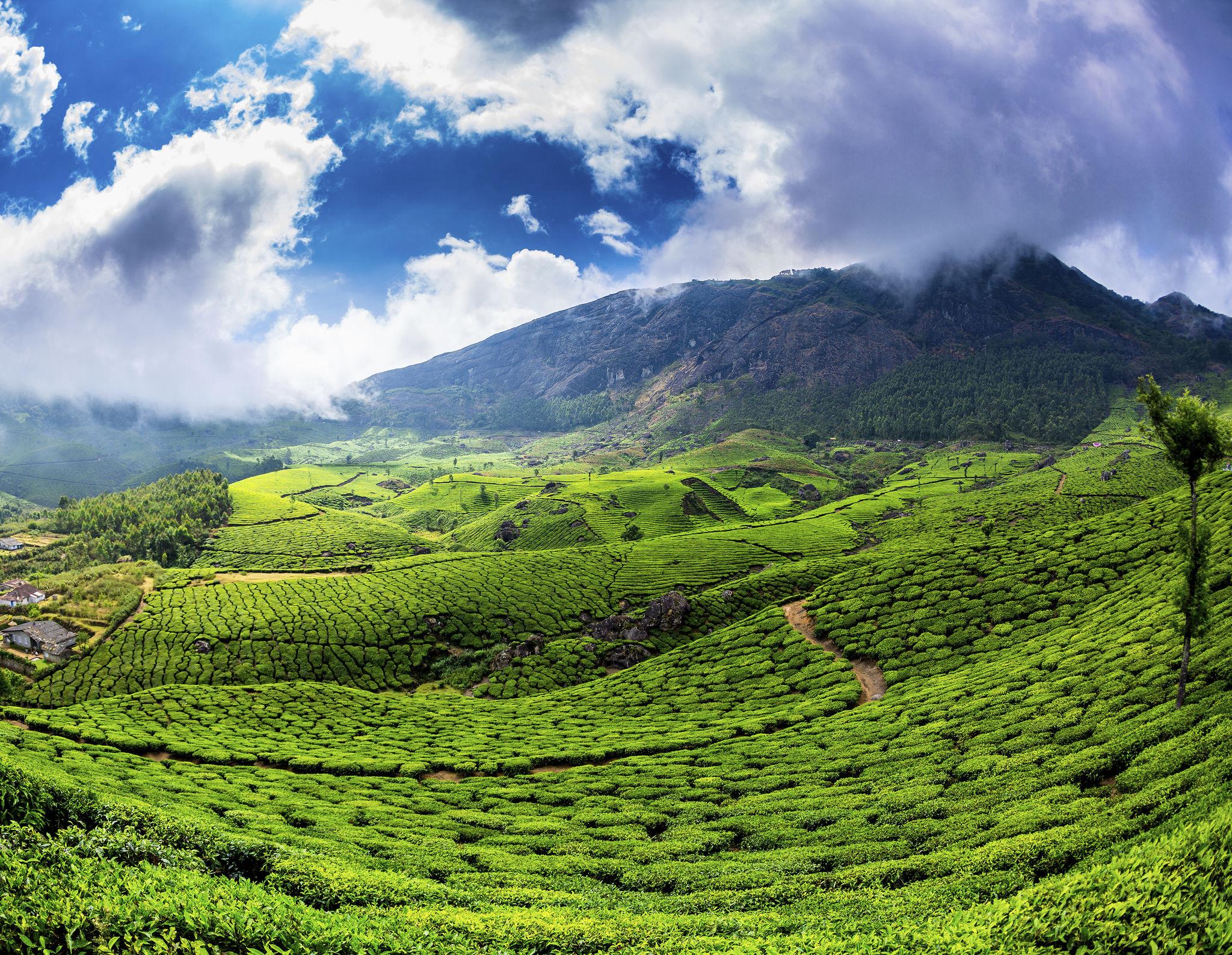 Munnar – Thekkady – Alleppey