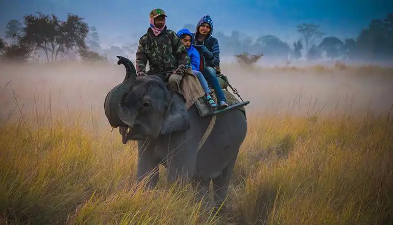 North East Family Holiday – Assam – Meghalaya – Kaziranga