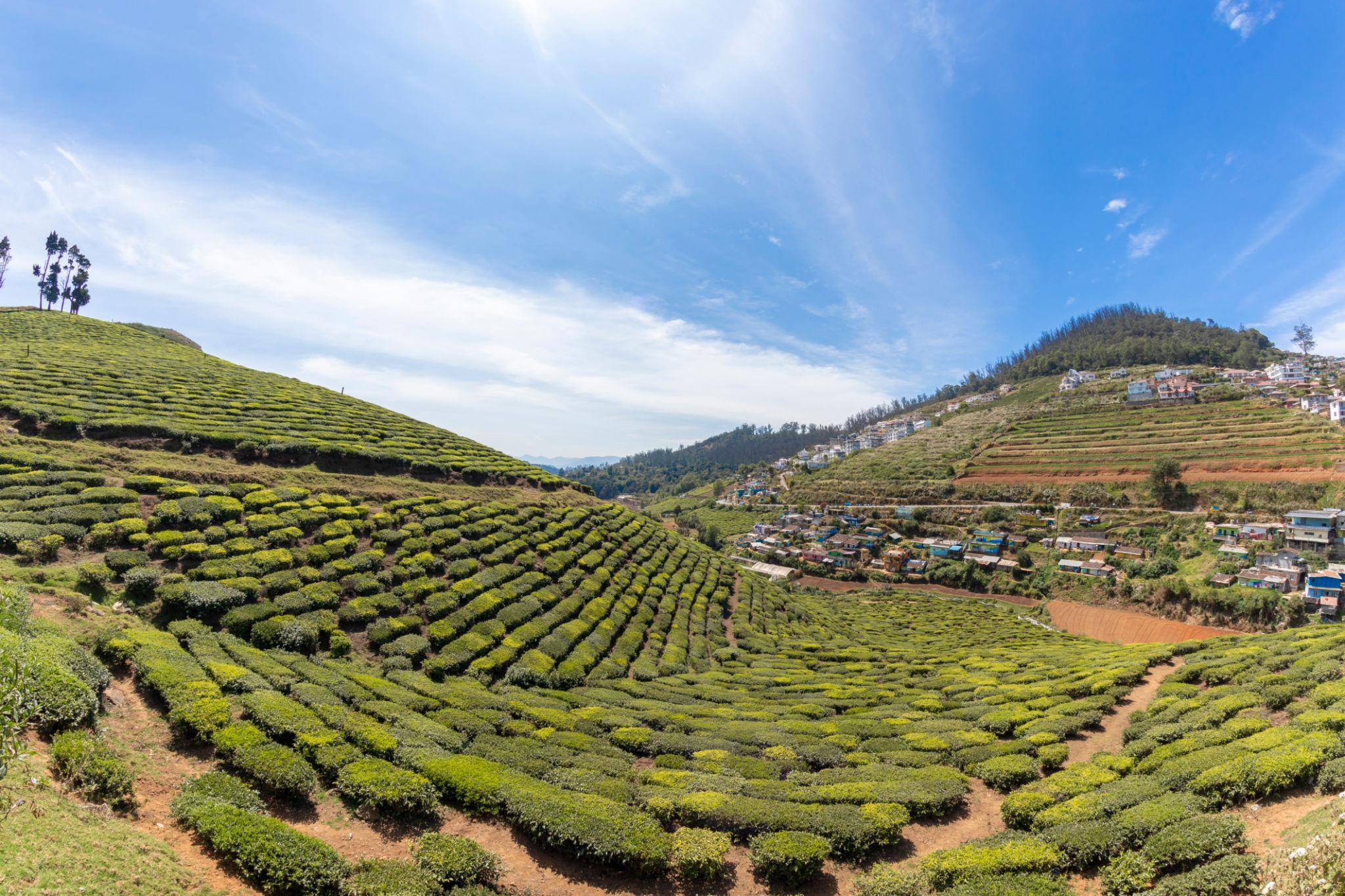Ooty – Kodaikanal