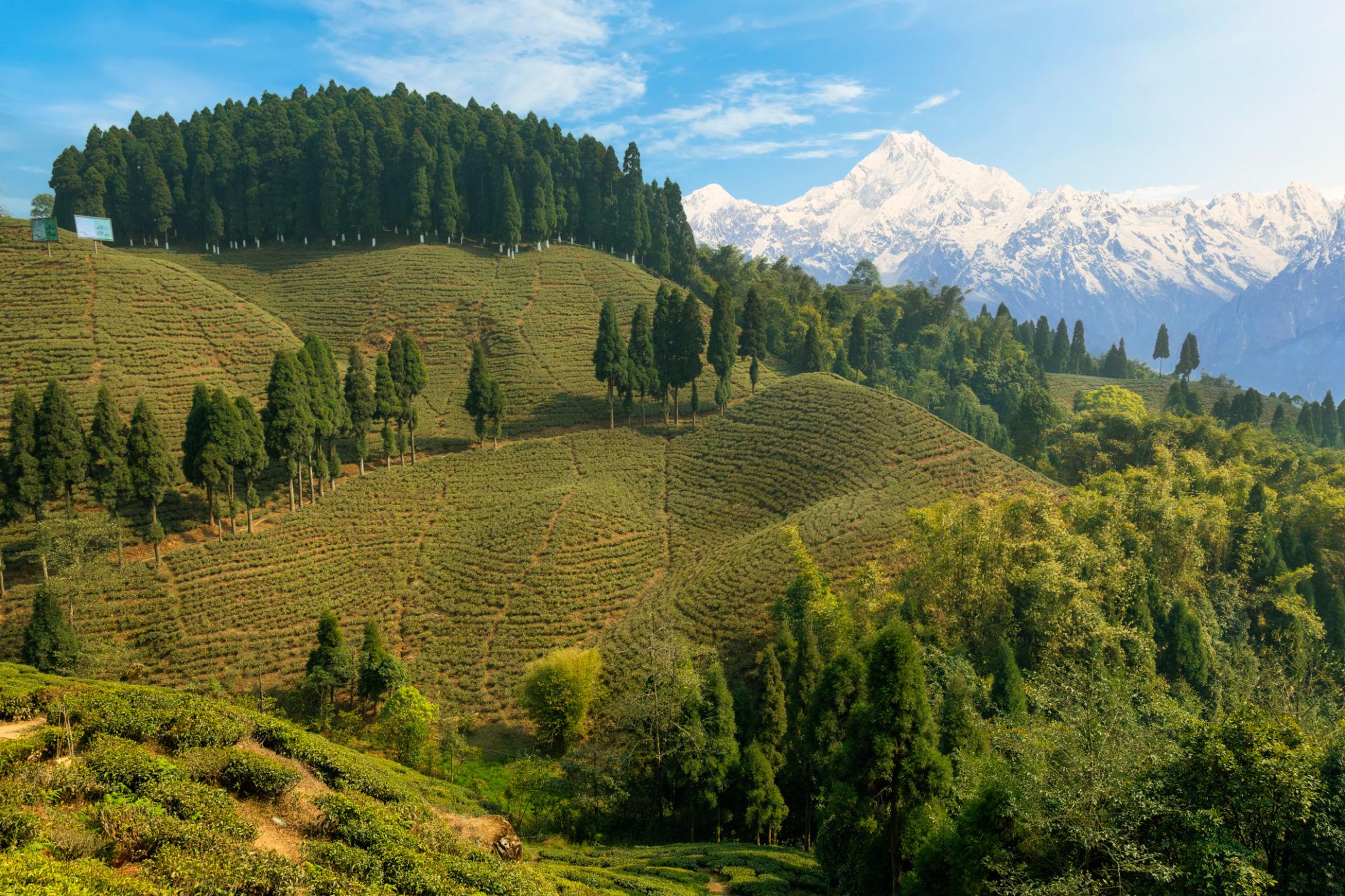 Sikkim & North Bengal – Gangtok – Pelling – Kalimpong – Darjeeling